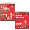 9788169441162 B D Chaurasia's Human Anatomy, Vols. 3 & 4 Set, 11th Edition | Regional and Applied Dissection and Clinical Anatomy: Head and Neck (Vol. 3) & Brain ... 4) with Free Workbook and Mind Maps (PB 2027) Available at english book depot jhansi- myebd.in- online book store- jhansi- india- best bookstore- since 1935