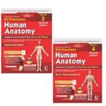 9788169441162 B D Chaurasia's Human Anatomy, Vols. 3 & 4 Set, 11th Edition | Regional and Applied Dissection and Clinical Anatomy: Head and Neck (Vol. 3) & Brain ... 4) with Free Workbook and Mind Maps (PB 2027) Available at english book depot jhansi- myebd.in- online book store- jhansi- india- best bookstore- since 1935