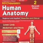 9788169441643 B D Chaurasia's Human Anatomy Vol. 2, 11th Edition | Regional and Applied Dissection and Clinical : Lower Limb, Abdomen and Pelvis with Free Workbook and Mind Maps (PB 2027) Available at english book depot jhansi- myebd.in- online book store- jhansi- india- best bookstore- since 1935
