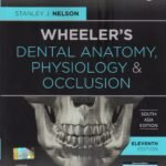 Wheeler's Dental Anatomy,Physiology and Occlusion,2nd South Asia Edition by Nelson- 2020